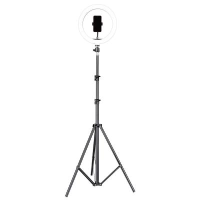 China PORTABLE 10inch Ring Light with Stand, Desktop Selfie Fill Light with 2.1m Tripod for Makeup for sale