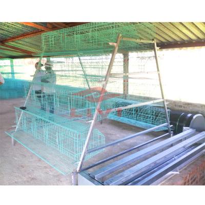 China Durable Animal Price / Cages Chicken Cage For Layer LIVI Factory Design Chicken Cages For Sale Chicken Farming In Kenya Ghana for sale