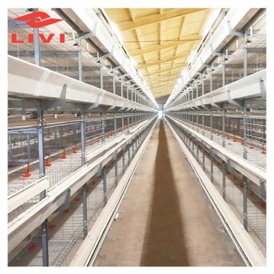 China Easy Install Hot Selling Chicken Broiler Cage System For Meat Chicken Cage For Broiler Chicken for sale