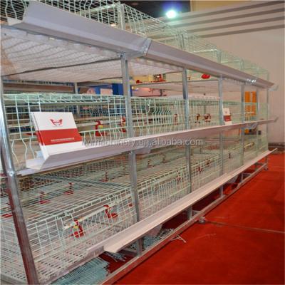 China Easy Install A Type / H Type Broiler Breeder Cage System / China Hot Seller Broiler Cage For Kenya Farm for sale