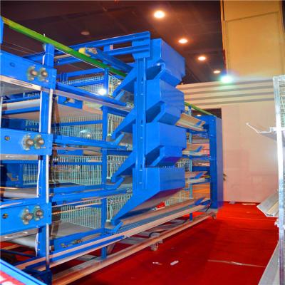 China Easy Install Low Price Automatic Poultry Broiler Battery Cage Equipment For Sale In Kenya for sale