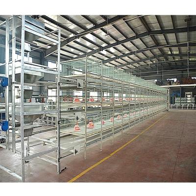 China China Poultry Supplies Easy Clean Wire Mesh Animal Cage For Broiler Chicken Rate Cage For Broiler Sale With Automatic Equipment for sale