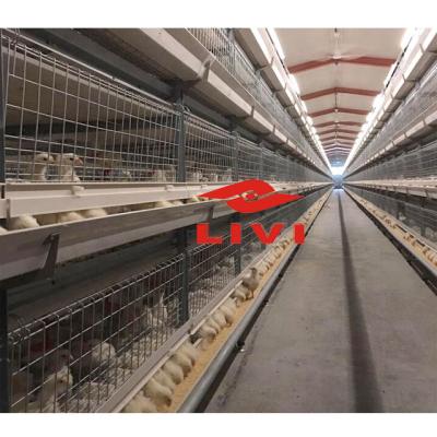 China Low cost hot dip galvanized battery broiler cages automatic chicken equipment broiler cage system on sale for sale