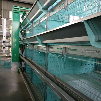 China Easily Install Good Selling Automatic Chicken Brooder Cages H Type Frame Layer Chicken Cage For Poultry Farm for sale