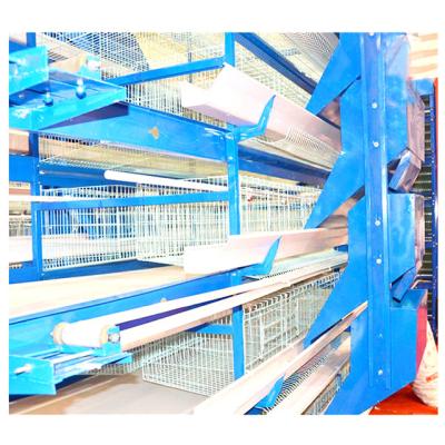 China 2020 Automatic Poultry Chicken Farm Equipment Feeding System Layer / Broiler For Chicken Farm 5000 for sale