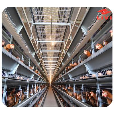 China Chicken house 50,000 layers project design chicken cages for poultry farm for sale