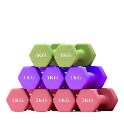 China Durable Hot Sale Vinyl Cardboard Exercise Dumbbell Colored Strength Exercise Dumbells for sale