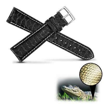 China Fashion. Luxury.unisex 12-16 18mm 20mm 22mm Genuine Crocodile Real Alligator 24m Watch Band Alligator Leather Strap for sale