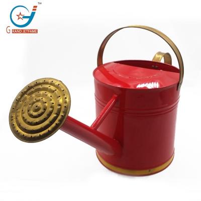 China Metal Household Tools Garden Plant Flower Shower Metal Watering Cans Gardening Watering Pot for sale