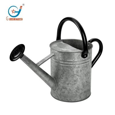 China Vintage Metal Watering Can Galvanized Steel Watering Pot With Removable Spray Nozzle , Movable Top Handle for sale