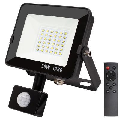 China Black 30W PIR LED Flood Light with Remote Control Custom Wattages Available CE RoHS Certified for sale