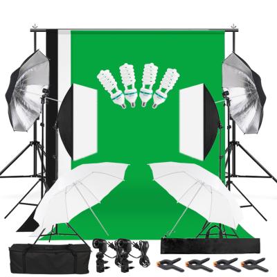 China Stable Photography Props Photo Studio Lighting Kit Green Screen Backdrop Stand Kit Softbox Umbrellas Light for sale