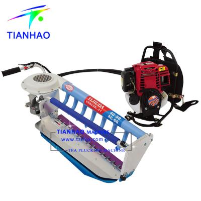 China Tea Plucking L4C-60 (GX35) 4 stroke motor tea leaf plucking machine tea plantation for India, Sri Lanka for sale