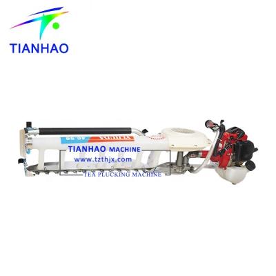 China Tea Plucking 26CC L500 (34F) Portable Tea Plucker Machine for sale