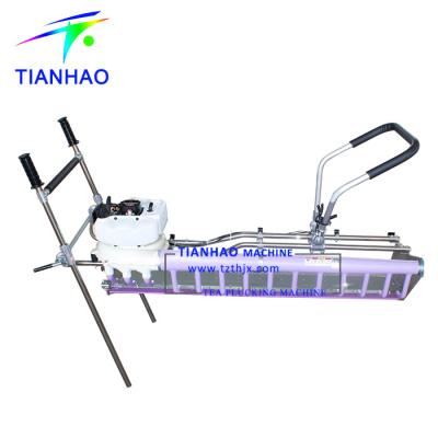 China Tea Leaf Plucking SV120 Two Man Tea Leaf Plucking Machine for sale