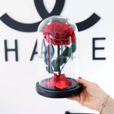 China Amazon Natural Hits Decorative Touch Flower Beauty And The Beast 12*20CM Preserved Real Rose In Glass Dome For Christmas Day for sale