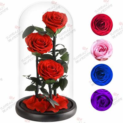 China Natural Touch Mom Gift for Mothers Day Valentine Forever Real Rose Gift Red Beauty and the Beast True Eternal Rose in Glass Dome for Christmas for sale