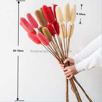 China Wholesale Natural Touch Dried Teasels Fruit Dried Dipsacus sativus Decorative Flowers For Boho Home Decor Christmas Pampas DIY Wreath Bouquet for sale