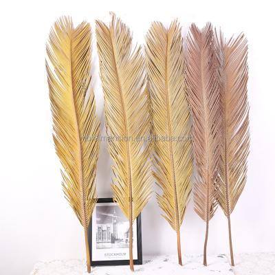 China Contact Ins Natural Wedding Supplies Natural Dried Palm Cycas Revoluta Sago Palm For Pampas Grass Bouquet Arrangement Wedding Boho Decor for sale