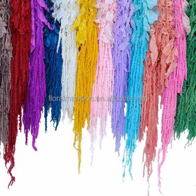 China Natural Touch Wedding Decoration Bouquet Custom Colors Dip Dyed White Green Hanging Amaranth Dried Flowers for sale