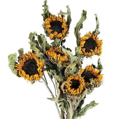 China Wedding natural decoration touch bridal flowers dried flowers sunflower arrangement bouquet natural wholesale warm home big mini for sale