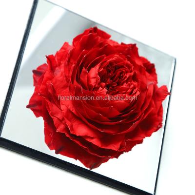 China Immortal Valentine's Day Flroalmansion Rose Gift Box Preserved Rose Austin Rose Handmade Eternal Peony Gift for valentines day wedding supplies for sale