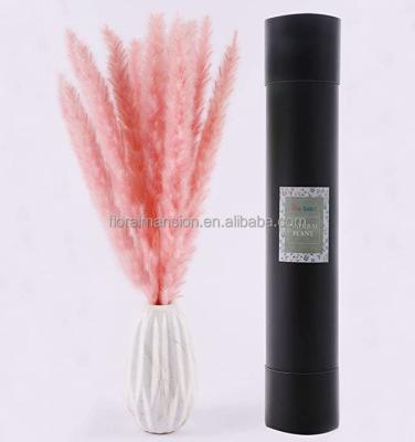 China Natural Dry Touch Pampas Grass Bouquet Small Pompas Grass Fluffy Pompas Grass for Boho Decor Floral Arrangement (Pink) for sale