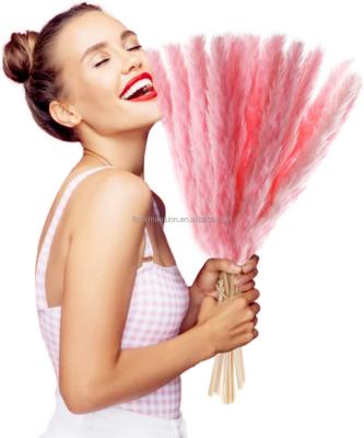 China Natural Pampas Grass Touch Pink Small 45cm 15 Stems Dried FlowersDried Flowers Pampas Bouquet for Boho Decor Pink Valentine Wedding Decor for sale