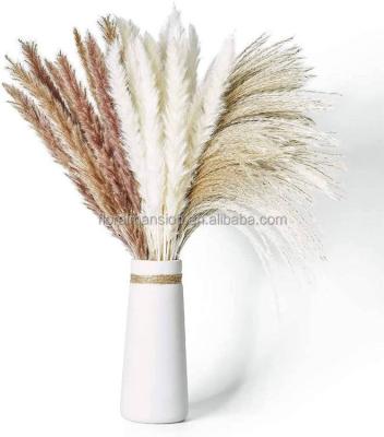 China Wholesale Natural Touch Pampas Grass Pampas Reed Fluffy Feathers Flower Bouquet Natural Dry Pampas Grass for sale