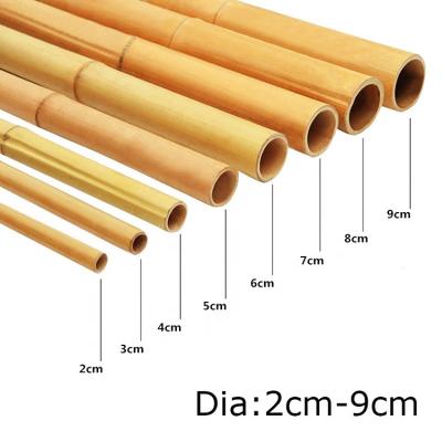 China Garden Plant Decoration Raw Bamboo Poles Natural Tonkin Bamboo Poles for sale