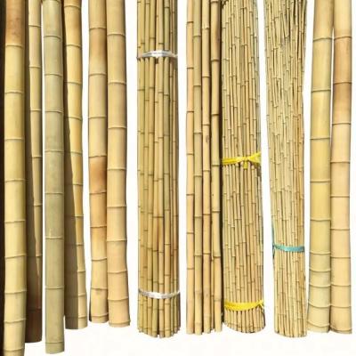 China Bamboo Town Nature Yellow Black Dry Treated Bamboo Moss Pole for sale