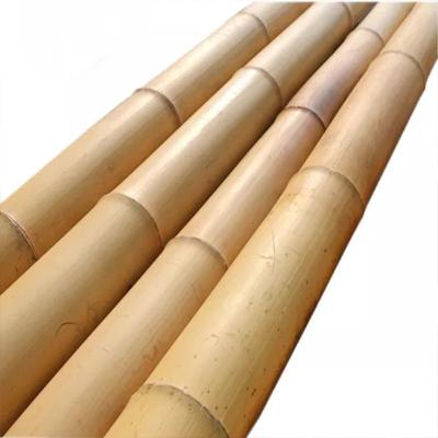 China Moso Bamboo Pole for Decoration Length Customized Straight Bamboo Tree Stakes for sale