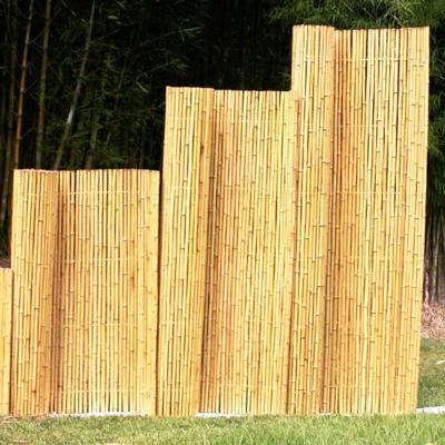 China Bamboo Screen  Natural Bamboo Fence Rolls Eco-Friendly For Outdoor Balcony Patio Garden Border Pool for sale