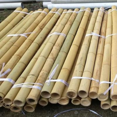 China Bamboo Flower Sticks Garden Stakes For Plant Support Farm Garden Decoration for sale