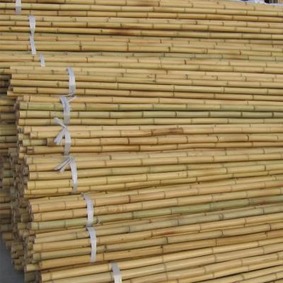 China Bamboo Garden Stakes Rods Garden Sticks Bamboo Plant Stakes for Beans Peas Cucumbers Fruiting Plants Trees for sale