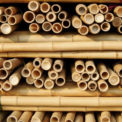 China China Bamboo Town Solid Dried Bamboo Poles For Gardening And Construction Nature Bamboo Pole for sale