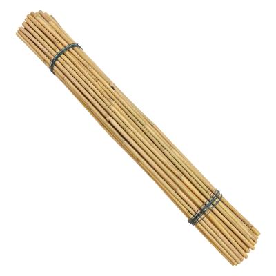 China Eco-Friendly Bamboo Poles Toamto Beans Potted Plants for Indoor and Outdoor Plants for sale