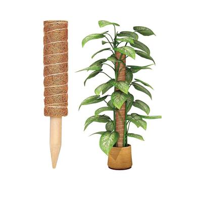 China Coconut Palm Coir Moss Stick Totem Pole Coco Coir Totem Pole Plant Support Extension Climbing Indoor Plants Creepers for sale