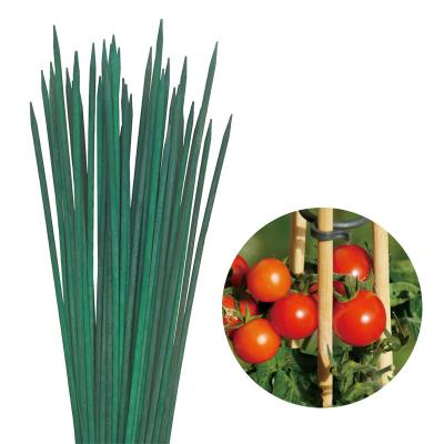 China Nature Bamboo Flower Sticks For Garden Arrangement Dyeing Bamboo Stick Flower Support for sale