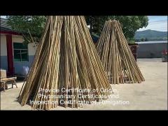 100% Natural Yellow Bamboo Pole 90cm To 595cm Plant Garden Stakes