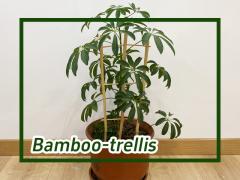 Bamboo Trellis for Climbing Plants U-shaped Bamboo Pole Garden Plant Support Stakes