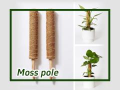 Moss Pole for Climbing Plants Monstera, Plant Stakes Support for Indoor Outdoor plants