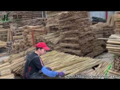 Sunbelt Group Garden and Nursery Supplier of Bamboo Material