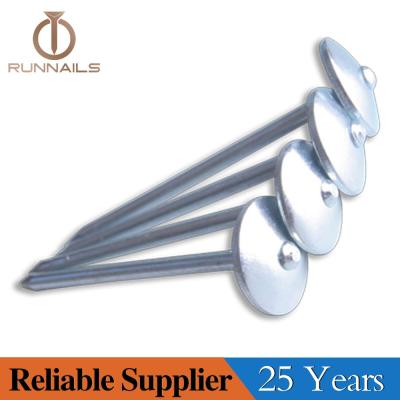 China China Cheap Price Umbrella Steel Roofing Nails for sale