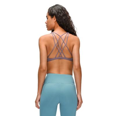 China Sustainable Women's Push Up Wire Free Cool-Look Yoga Padded Back Fitness Bra for sale