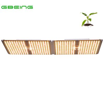 China Seed Starting Drop Board Full Spectrum Lm301b LED Board Grow Light Hydroponic Grow Light for sale