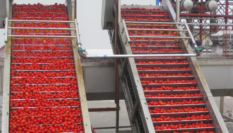 Fornecedor verificado da China - Red Tomato Foods Group Limited