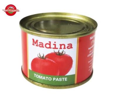 China 70 g de pasta de tomate enlatada à venda