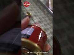 Canned Tomato Paste Easy Open Lid