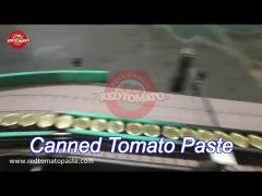 198g Canning Tomato Paste , Hard Open Lid Delectable Fresh Tomato Paste